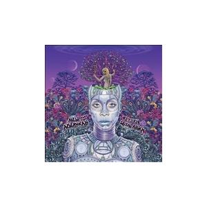 Erykah Badu New Amerykah, Pt. 2 : Return Of Ankh L...