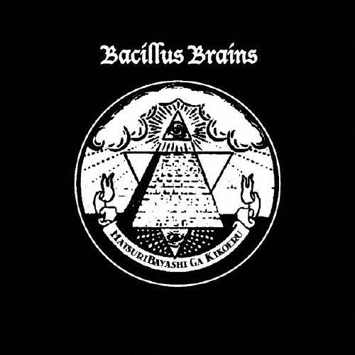THE BACILLUS BRAINS (THE 日本脳炎) 祭り囃子がきこえる＜通常盤＞ CD