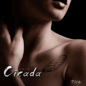 rice (J-Pop) Cicada ［CD+DVD］＜初回限定盤＞ 12cmCD Single