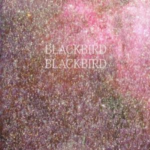 Blackbird Blackbird サマー ハート CD
