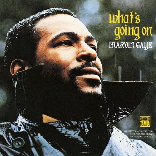 Marvin Gaye ホワッツ・ゴーイン・オン +2 SHM-CD