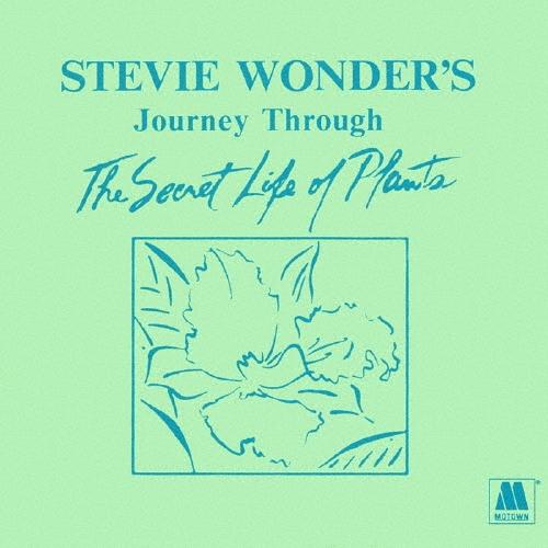 Stevie Wonder シークレット・ライフ SHM-CD