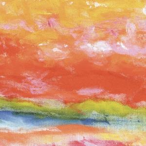 ビューティフルハミングバード ビューティフルハミングバード CD