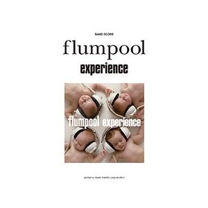 flumpool flumpool 「experience」 バンド・スコア 初中級 Book