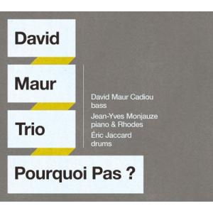 David Maur Trio プルクワ・パ? CD