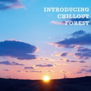 Various Artists INTRODUCING CHILLOUT FOREST CD