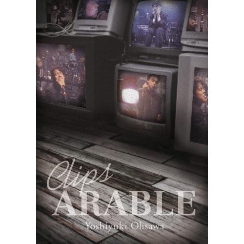 大澤誉志幸 大沢誉志幸 Clips ARABLE DVD