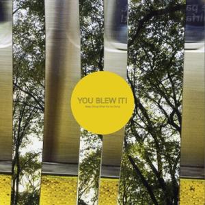 You Blew It Keep Doing What You're Doing CD