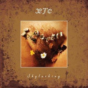XTC Skylarking (Corrected Polarity Edition) CD