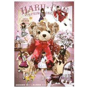 AKB48単独 春コン in 国立競技場〜思い出は全部ここに捨てていけ!〜(DVD)