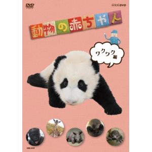 動物の赤ちゃん ワクワク編 DVDの商品画像