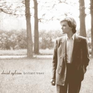 David Sylvian ブリリアント トゥリーズ SHM-CD