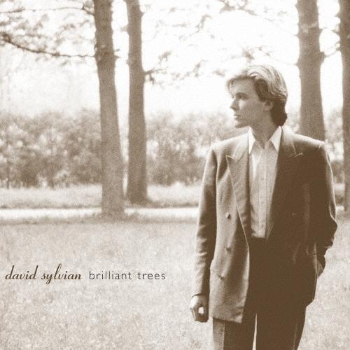 David Sylvian ブリリアント・トゥリーズ SHM-CD
