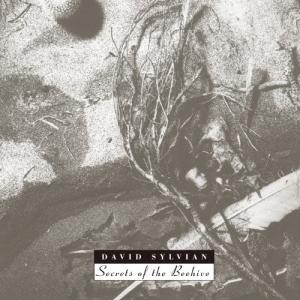 David Sylvian シークレッツ オブ ザ ビーハイヴ SHM-CD