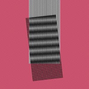 Hot Chip ホワイ メイク センス CD