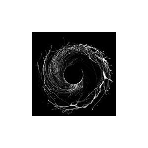 Dawn Of Midi Dysnomia CDの商品画像