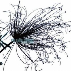 The Small Square ザ スモール スクエア CD