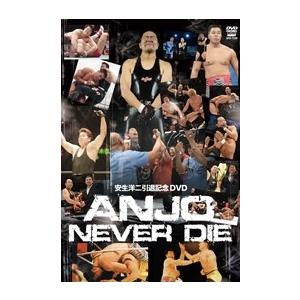 安生洋二引退記念DVD ANJO NEVER D...の商品画像