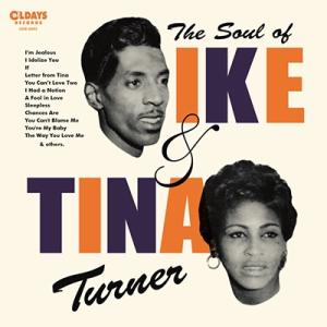 Ike &amp; Tina Turner ザ・ソウル・オブ・アイク・アンド・ティナ・ターナー CD
