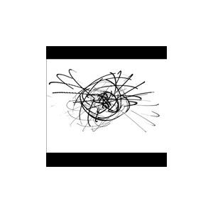 Floating Points Elaenia LP