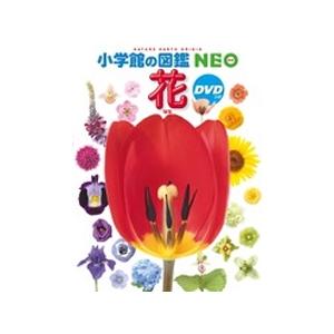 上田恵介 小学館の図鑑NEO〔新版〕 鳥 DVDつき 恐竜の子孫たち ［BOOK+