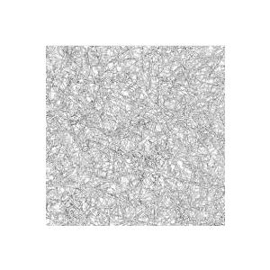 TRANSPARENTZ 全面照射 CD