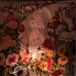 Various Artists Iceland Double Rainbow CD