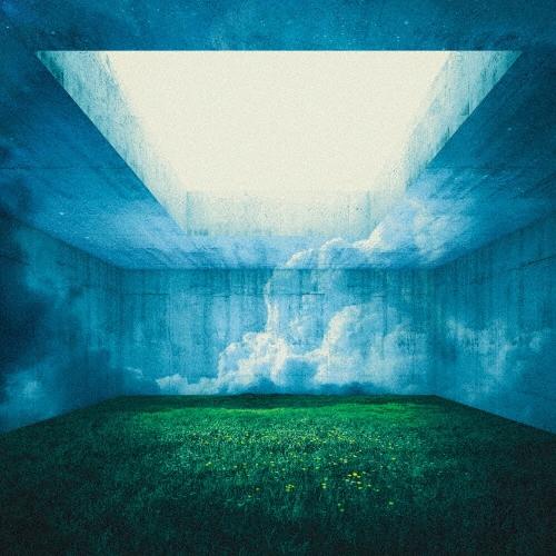 Nothing's Carved In Stone MAZE LP