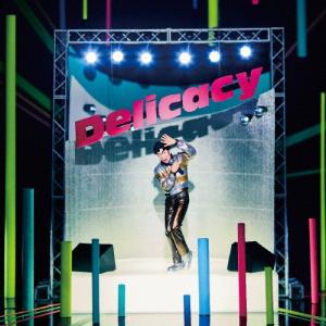 藤井隆 DJ MIX ""Delicacy"" mixed by DJ DC BRAND'S CD