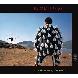 Pink Floyd Delicate Sound of Thunder CD