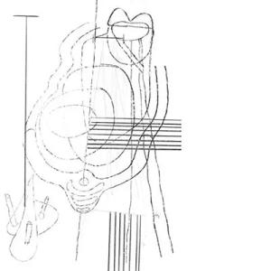 Gastr Del Sol Camoufleur LP