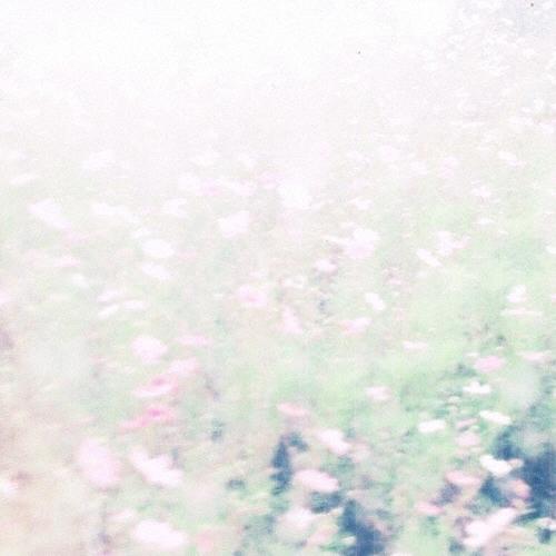 Chihei Hatakeyama The fall rises CD