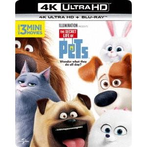 ペット [4K ULTRA HD + Blu-rayセット] Ultra HD