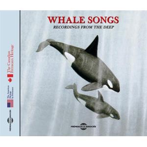 Various Artists Whale Songs: Recordings from the D...