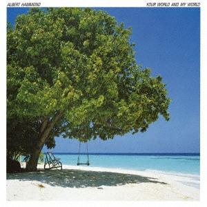 Albert Hammond 風のララバイ CD
