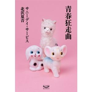 サニーデイ・サービス 青春狂走曲 Book