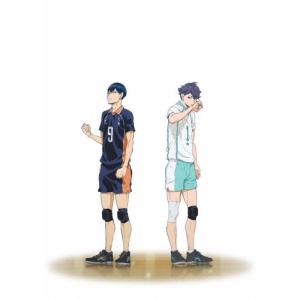 ハイキュー!! ファーストシーズン DVD Vol.1-9 セット : 脳トレ生活