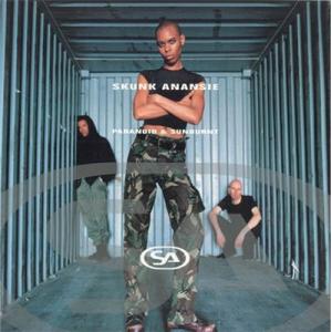 Skunk Anansie Paranoid And Sunburnt LPの商品画像