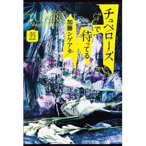 加藤シゲアキ チュベローズで待ってる【AGE22】 Book