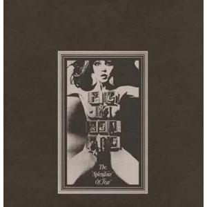 Felt The Splendour Of Fear LP