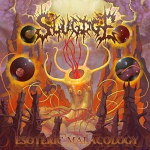 Slugdge Esoteric Malacology CD