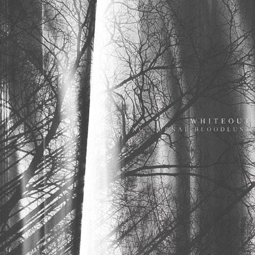 NOCTURNAL BLOODLUST WHITEOUT＜通常盤＞ CD