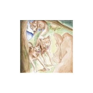 Bonnie Prince Billy Wolf of the Cosmos LP