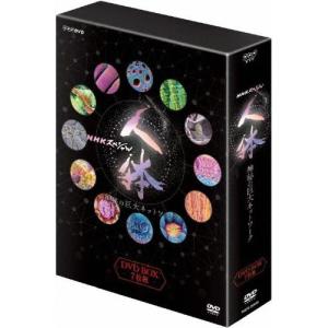 ベイビーわるきゅーれ エブリデイ! DVD BOX : タワーレコード Yahoo!店