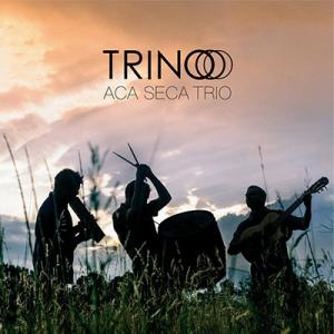 Aca Seca Trio Trino CD
