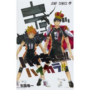 古舘春一 ハイキュー!! 10thクロニクル 愛蔵版コミックス COMIC