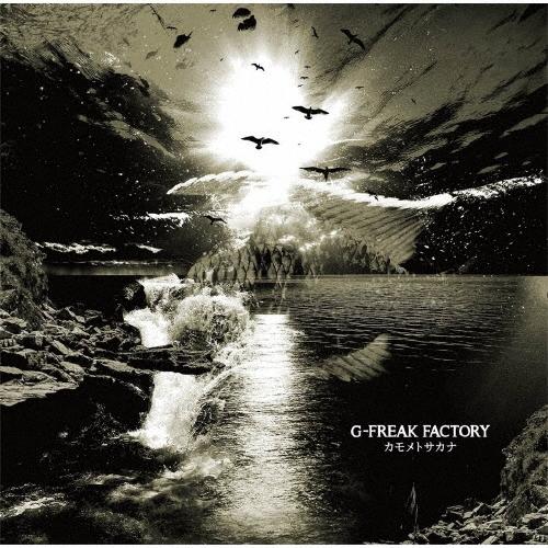 G-FREAK FACTORY カモメトサカナ ［CD+DVD］＜初回限定盤＞ 12cmCD Sin...
