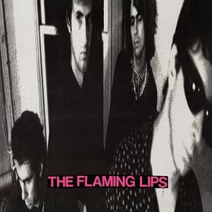 The Flaming Lips In A Priest Driven Ambulance LP