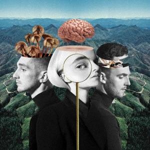 Clean Bandit ホワット イズ ラブ CD