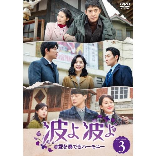 波よ 波よ 愛を奏でるハーモニー DVD-BOX3 DVD